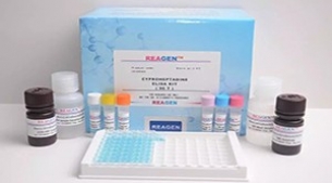 Beta-Agonist ELISA Test Kit